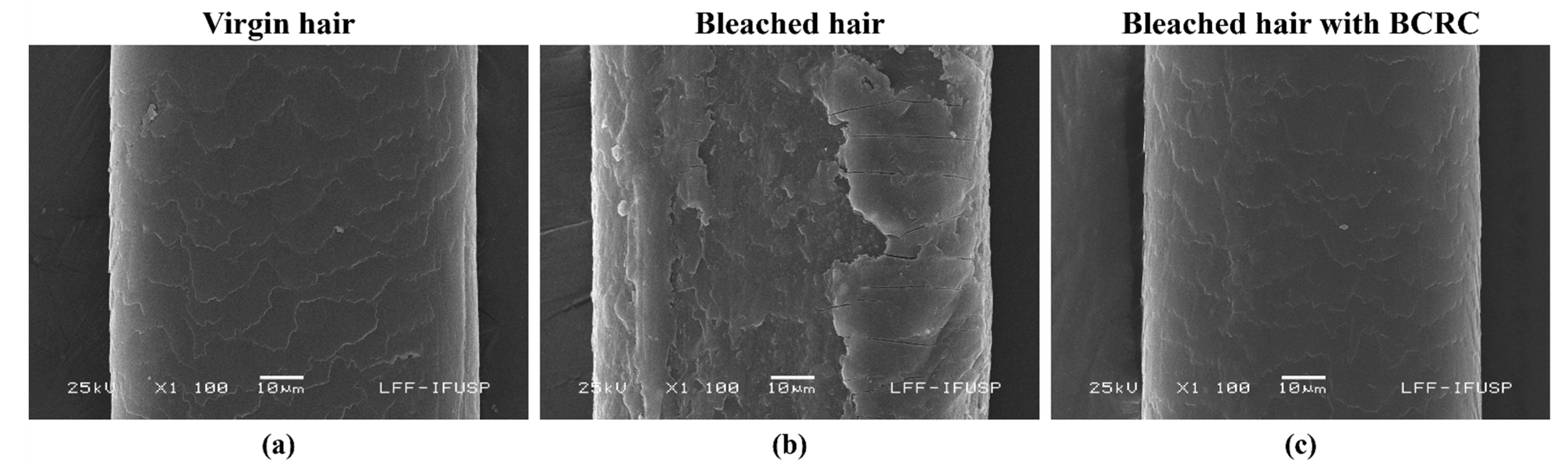 Cosmetics 13 00003 g005 Cosmetics 13 00003 g005