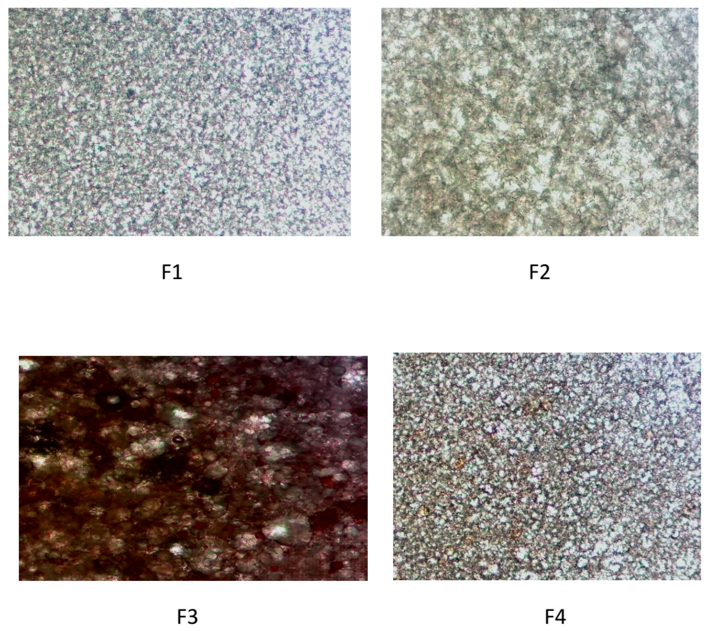 Cosmetics 13 00006 g004 Cosmetics 13 00006 g004