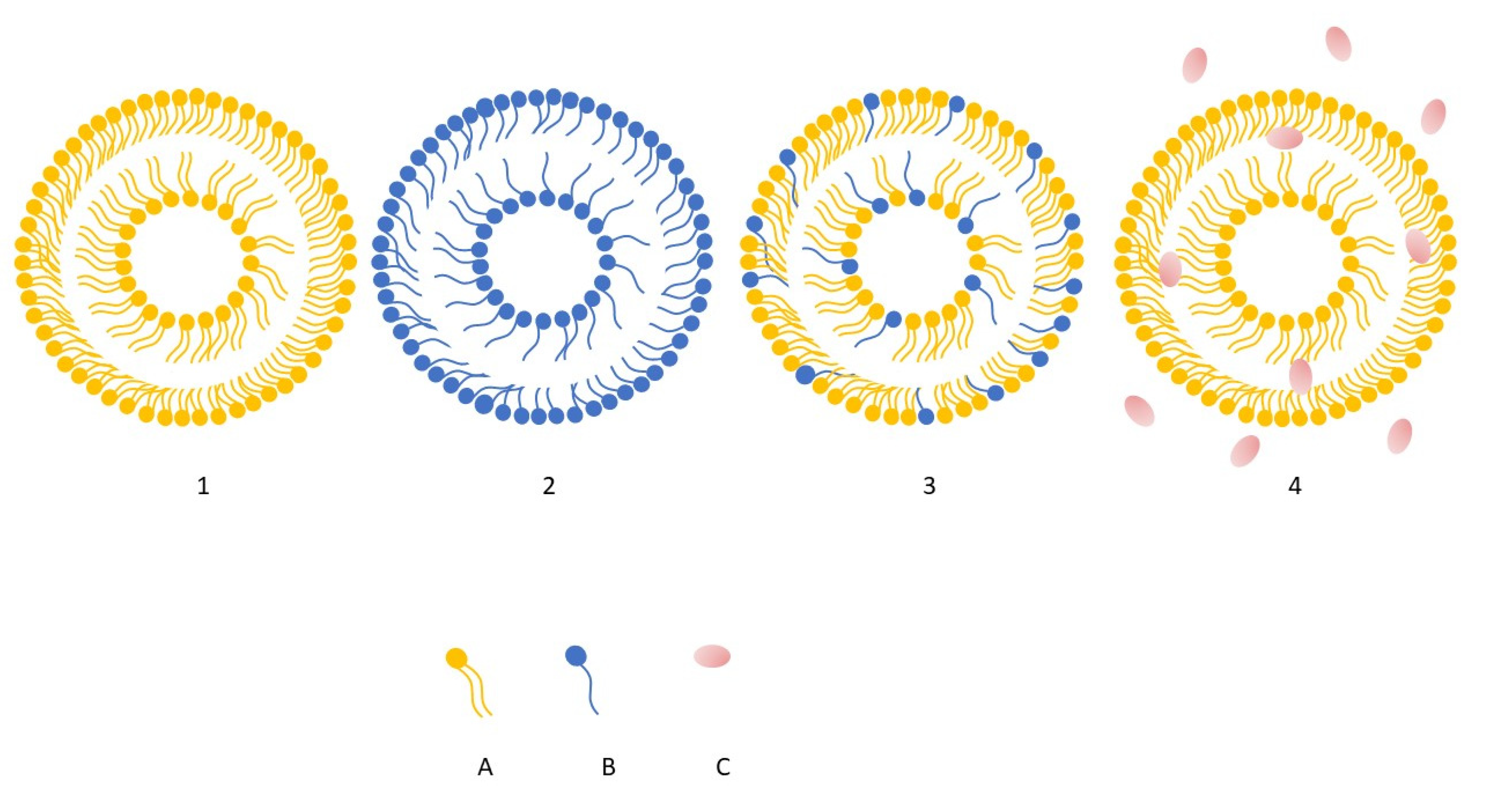 Cosmetics 13 00007 g005