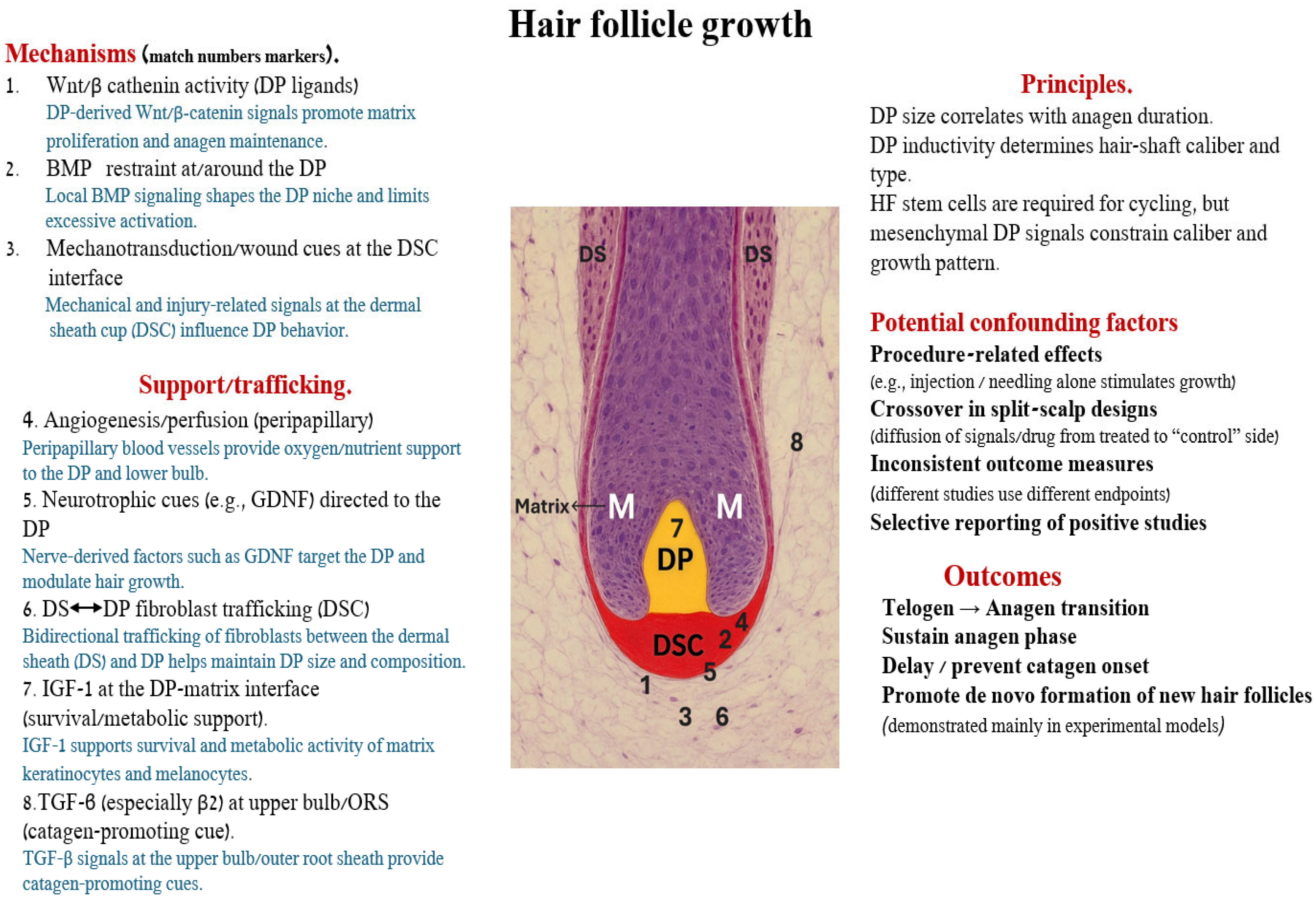 Cosmetics 13 00019 g002 Cosmetics 13 00019 g002