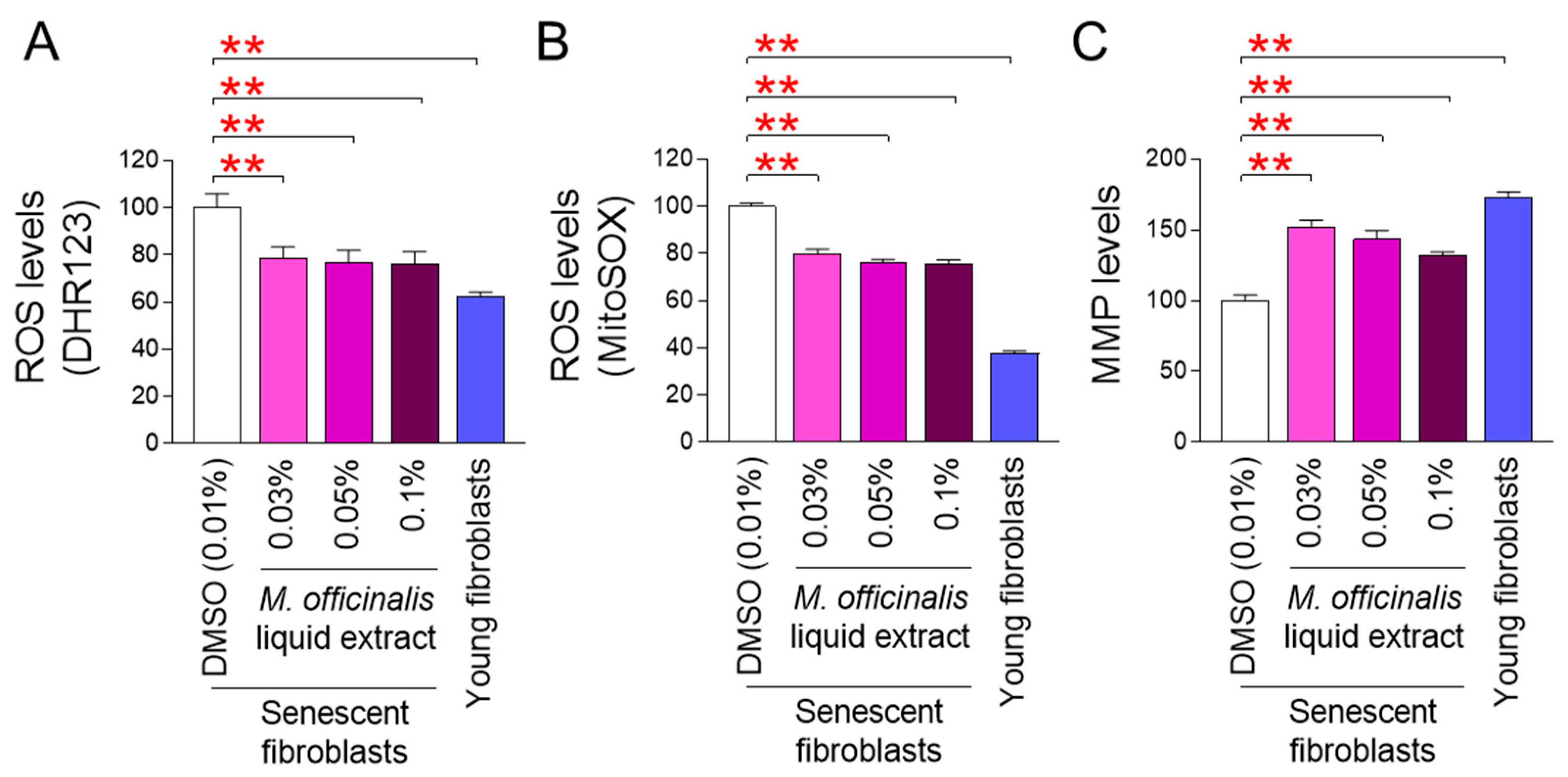 Cosmetics 13 00022 g001 Cosmetics 13 00022 g001