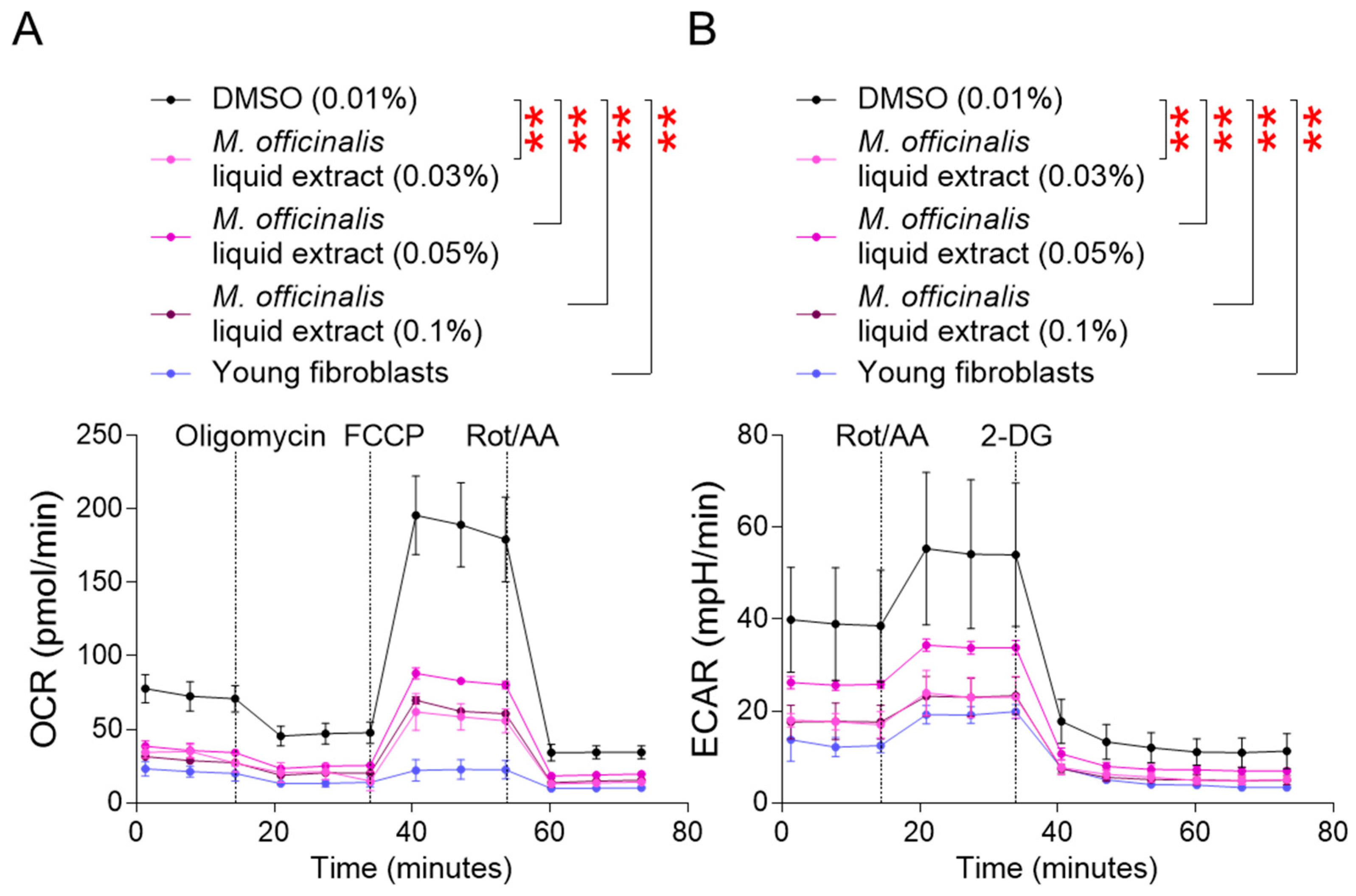 Cosmetics 13 00022 g002 Cosmetics 13 00022 g002