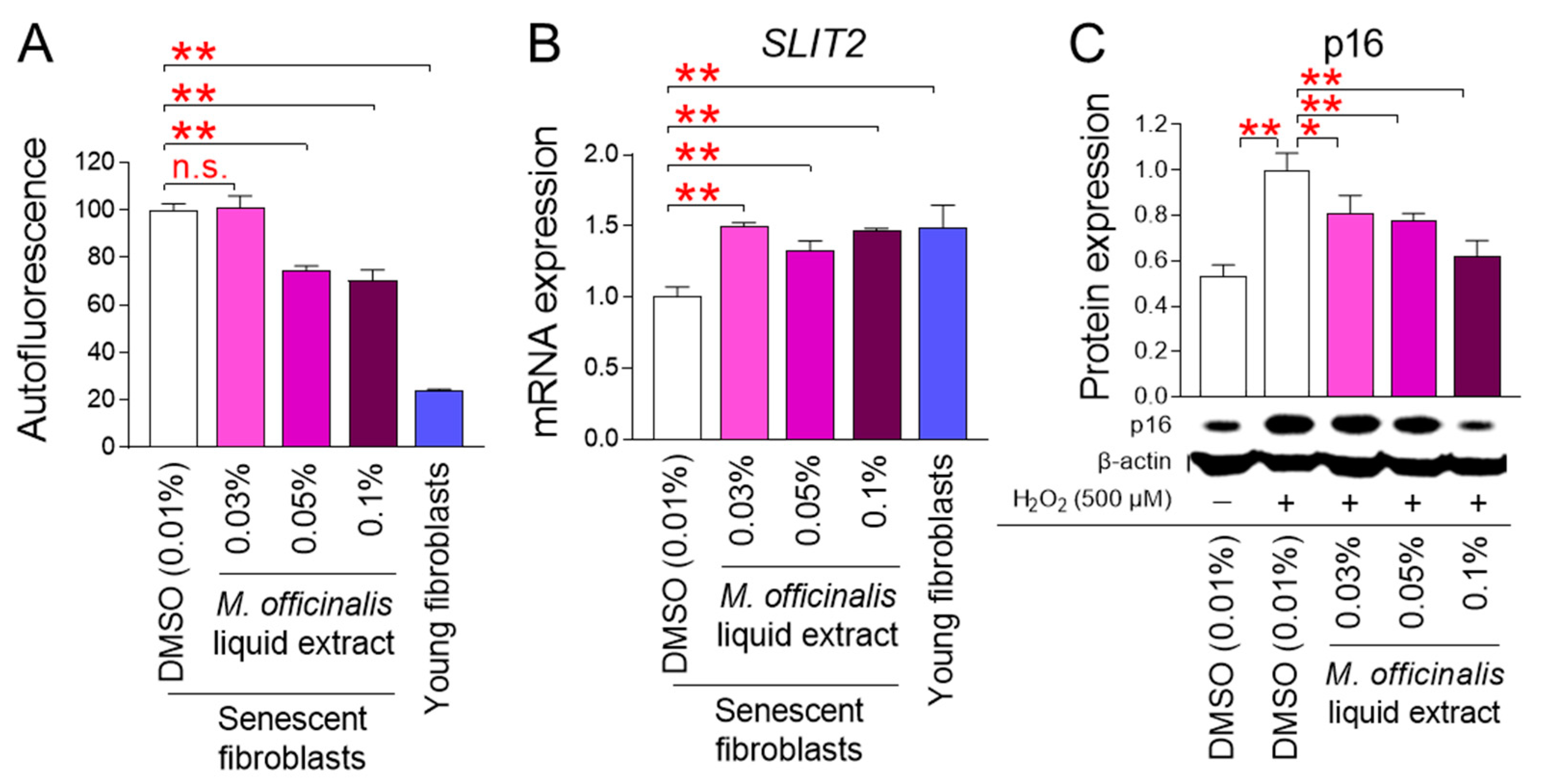 Cosmetics 13 00022 g004 Cosmetics 13 00022 g004