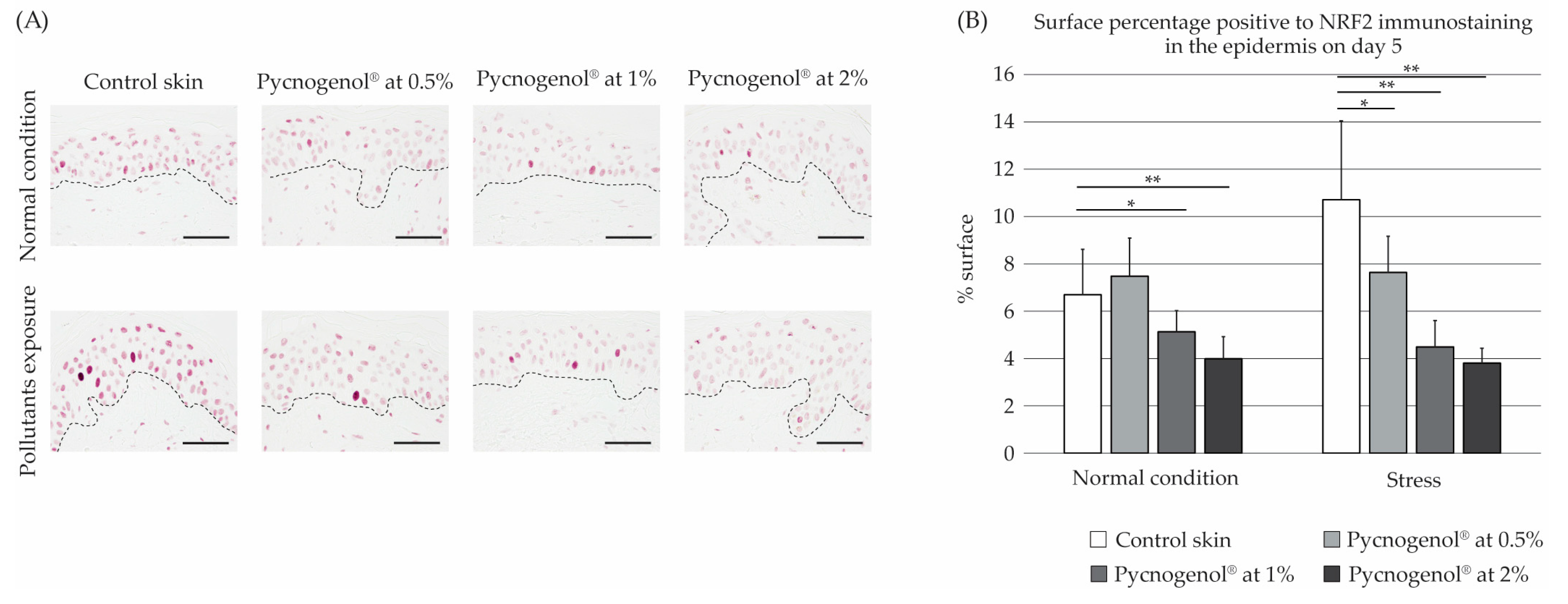 Cosmetics 13 00026 g002