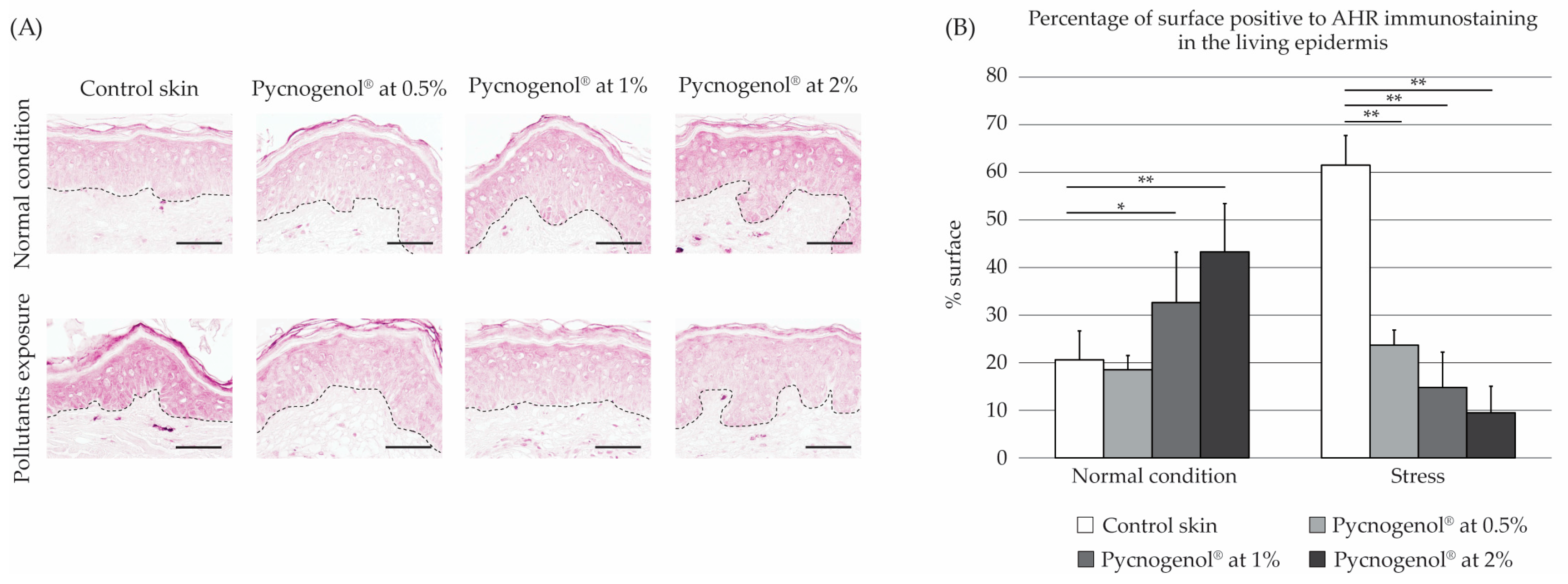 Cosmetics 13 00026 g003