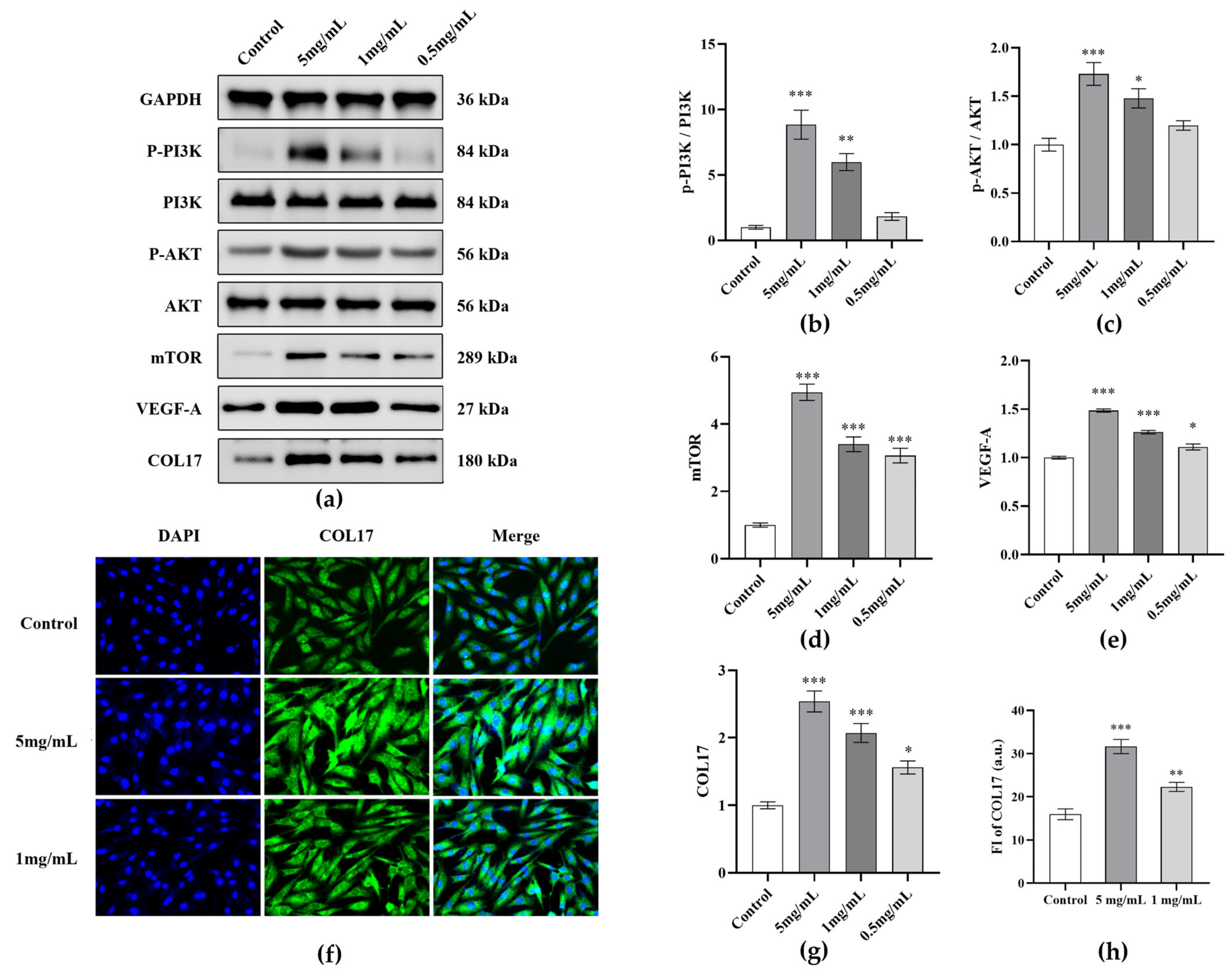 Cosmetics 13 00028 g004 Cosmetics 13 00028 g004