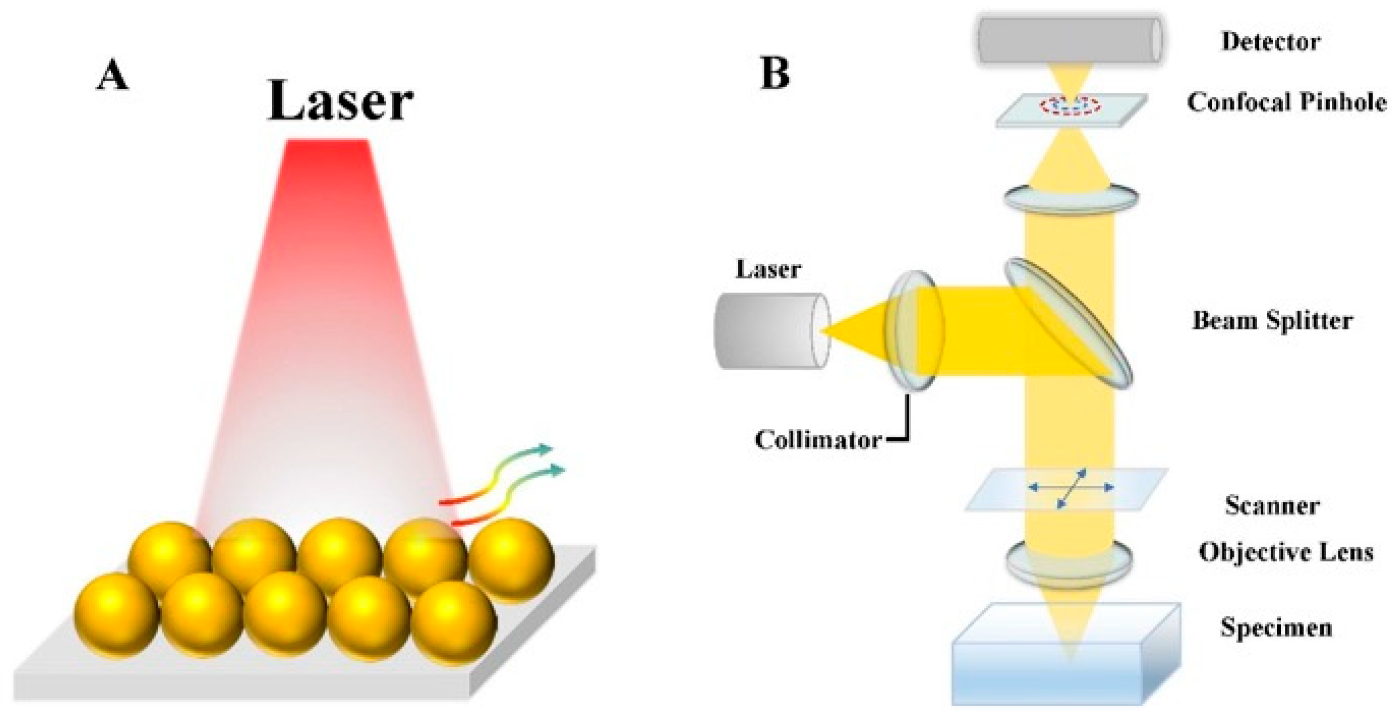 Cosmetics 13 00079 g001