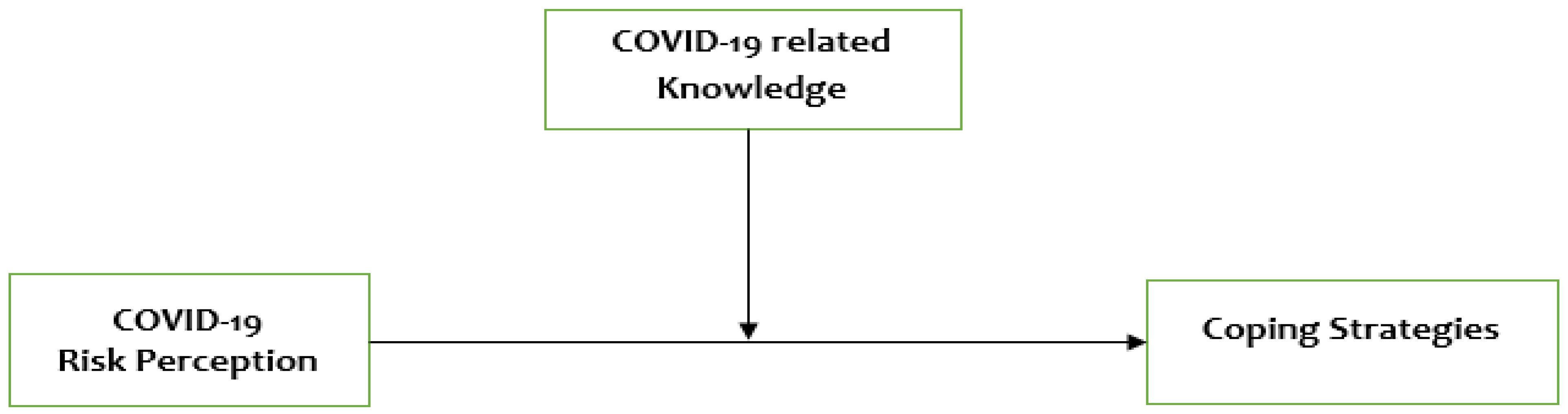 Covid 02 00050 g001