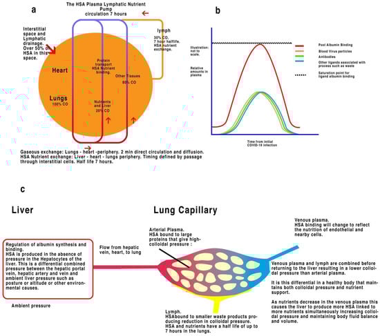 Covid 02 00099 g002 550