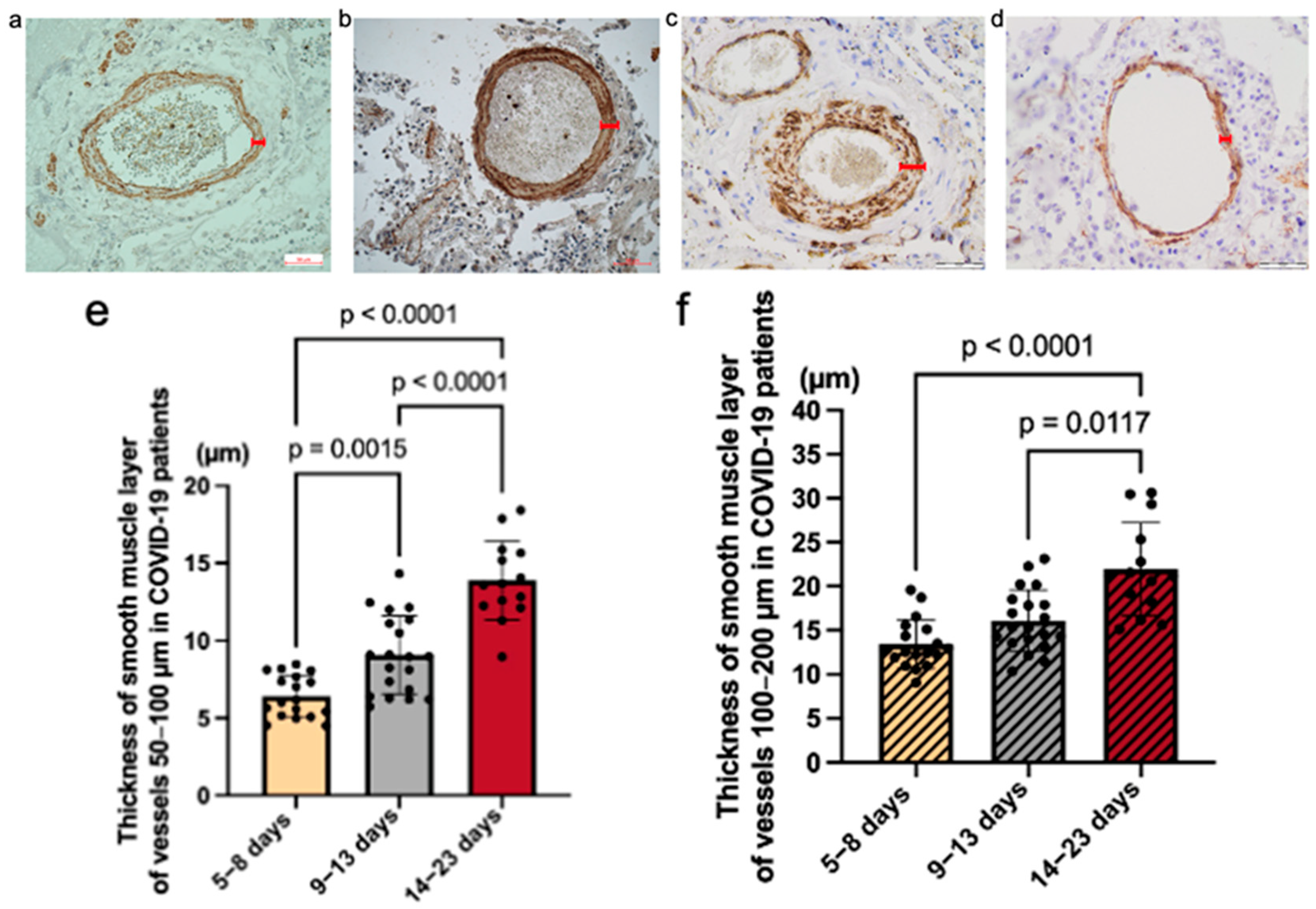 Covid 05 00079 g003a
