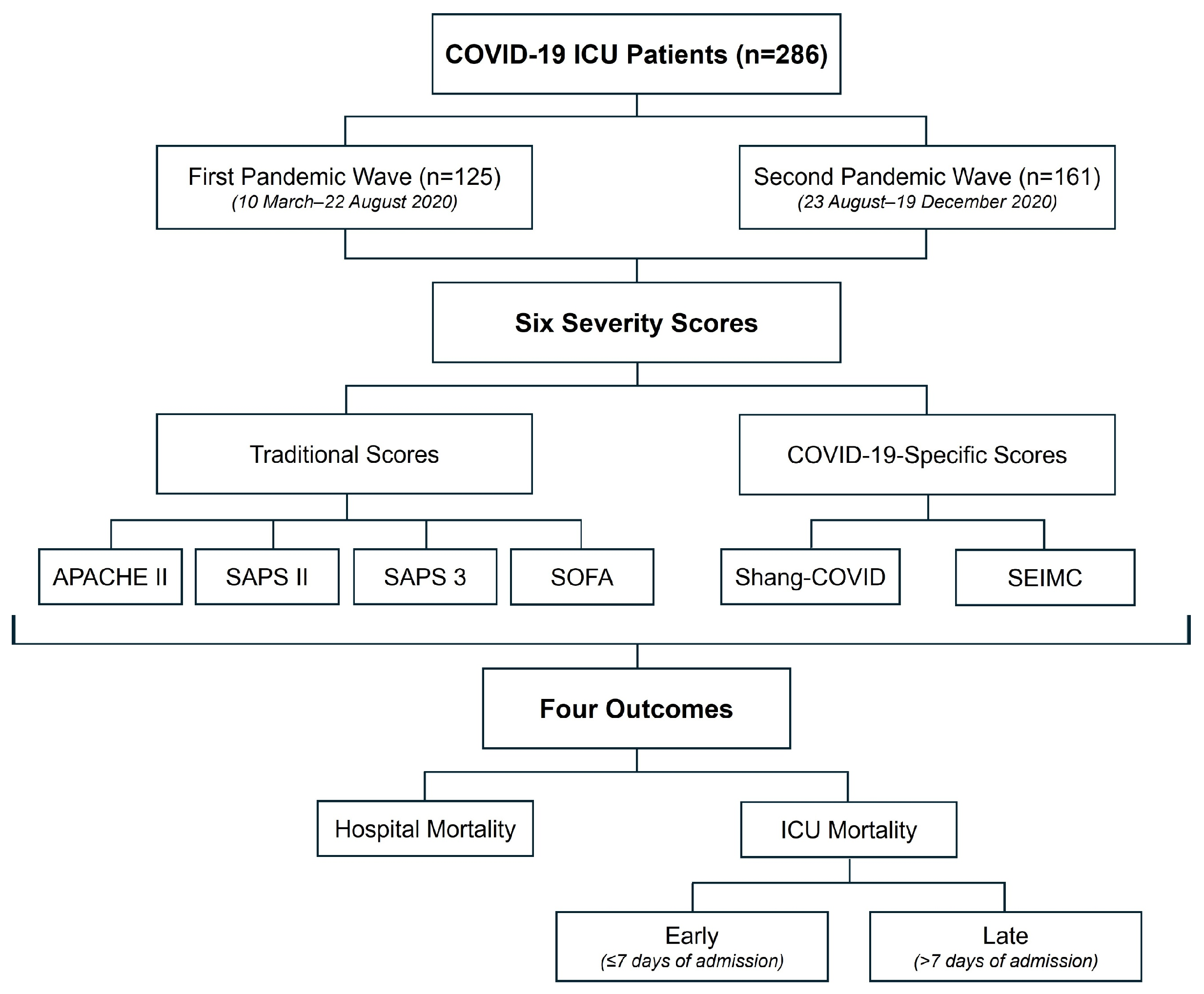 Covid 06 00083 g001 Covid 06 00083 g001