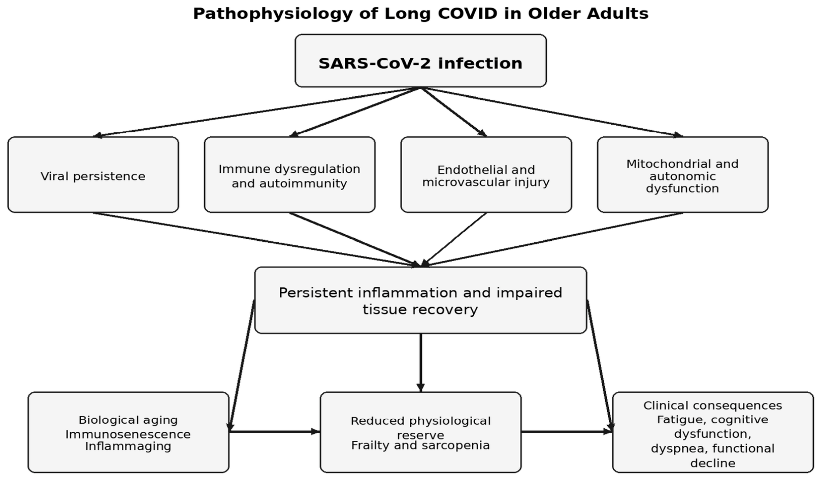 Covid 06 00172 g001 Covid 06 00172 g001