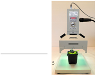 Crops 02 00024 i005 Crops 02 00024 i005