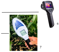 Crops 02 00024 i006 Crops 02 00024 i006