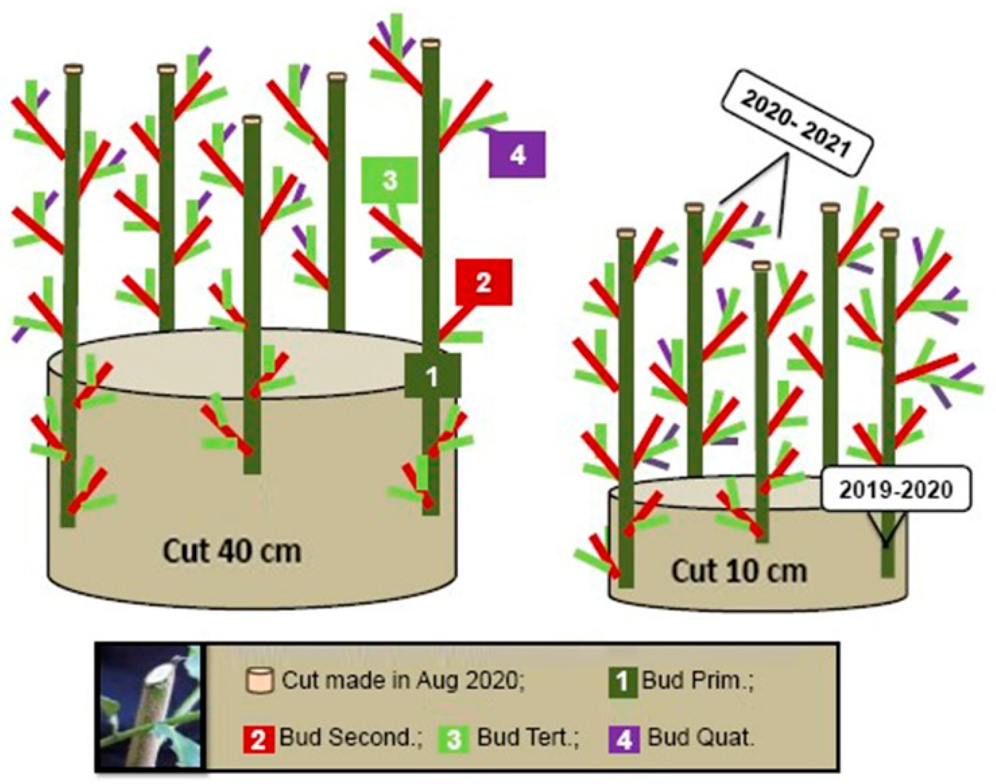 Crops 03 00004 g007 Crops 03 00004 g007
