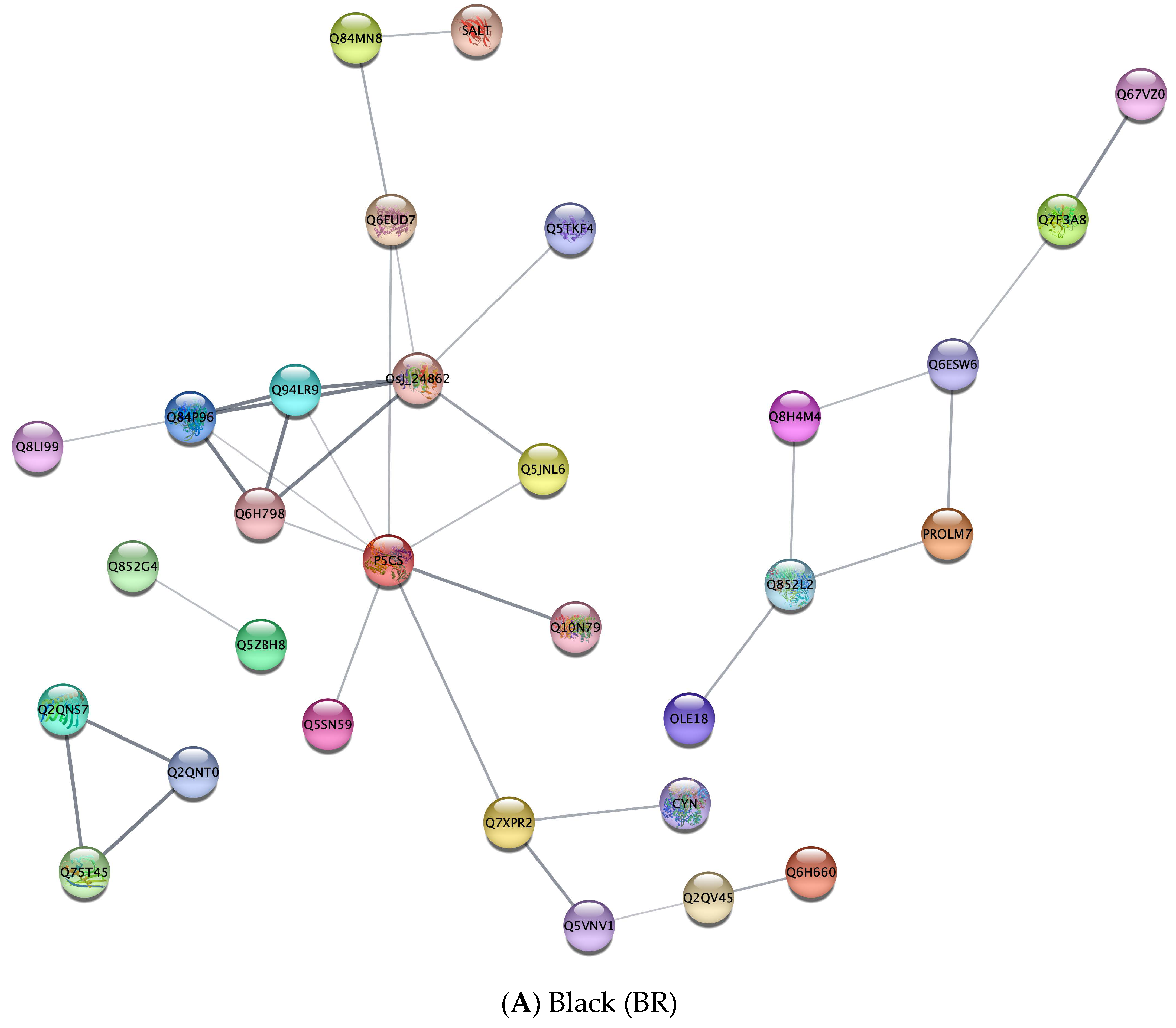 Crops 03 00007 g005a Crops 03 00007 g005a