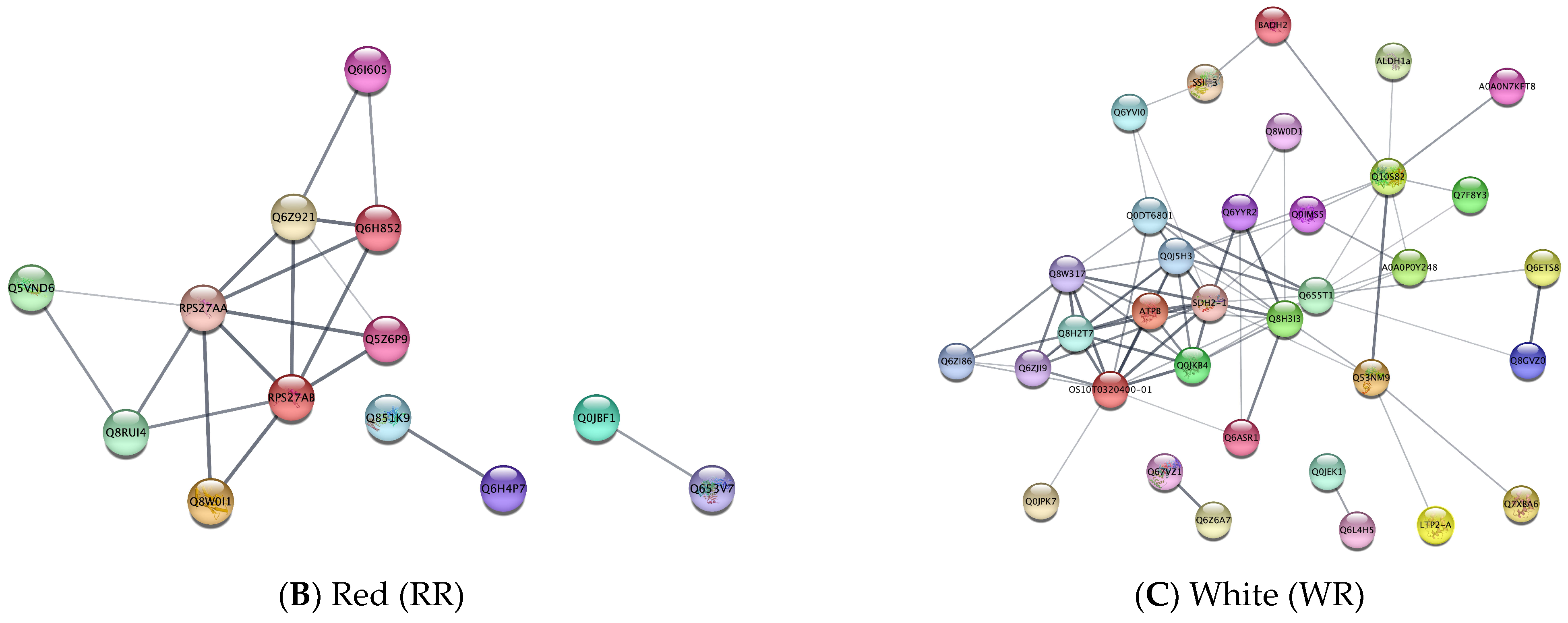 Crops 03 00007 g005b Crops 03 00007 g005b