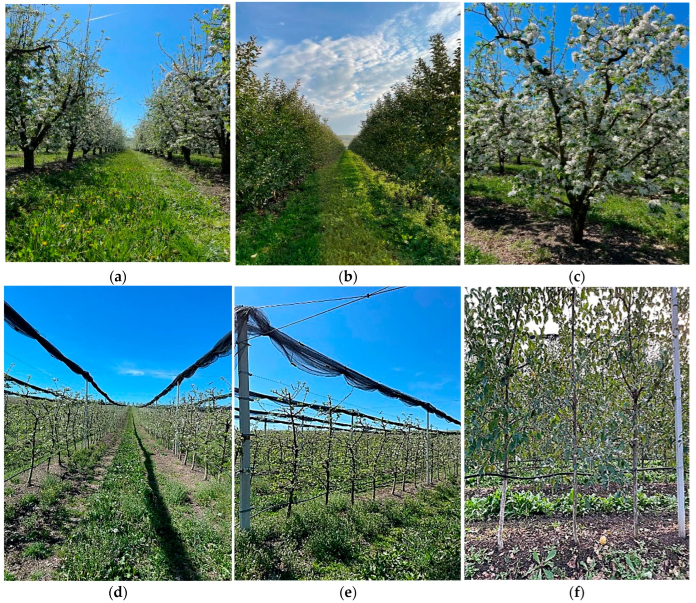 Crops 05 00030 g0a1 Crops 05 00030 g0a1