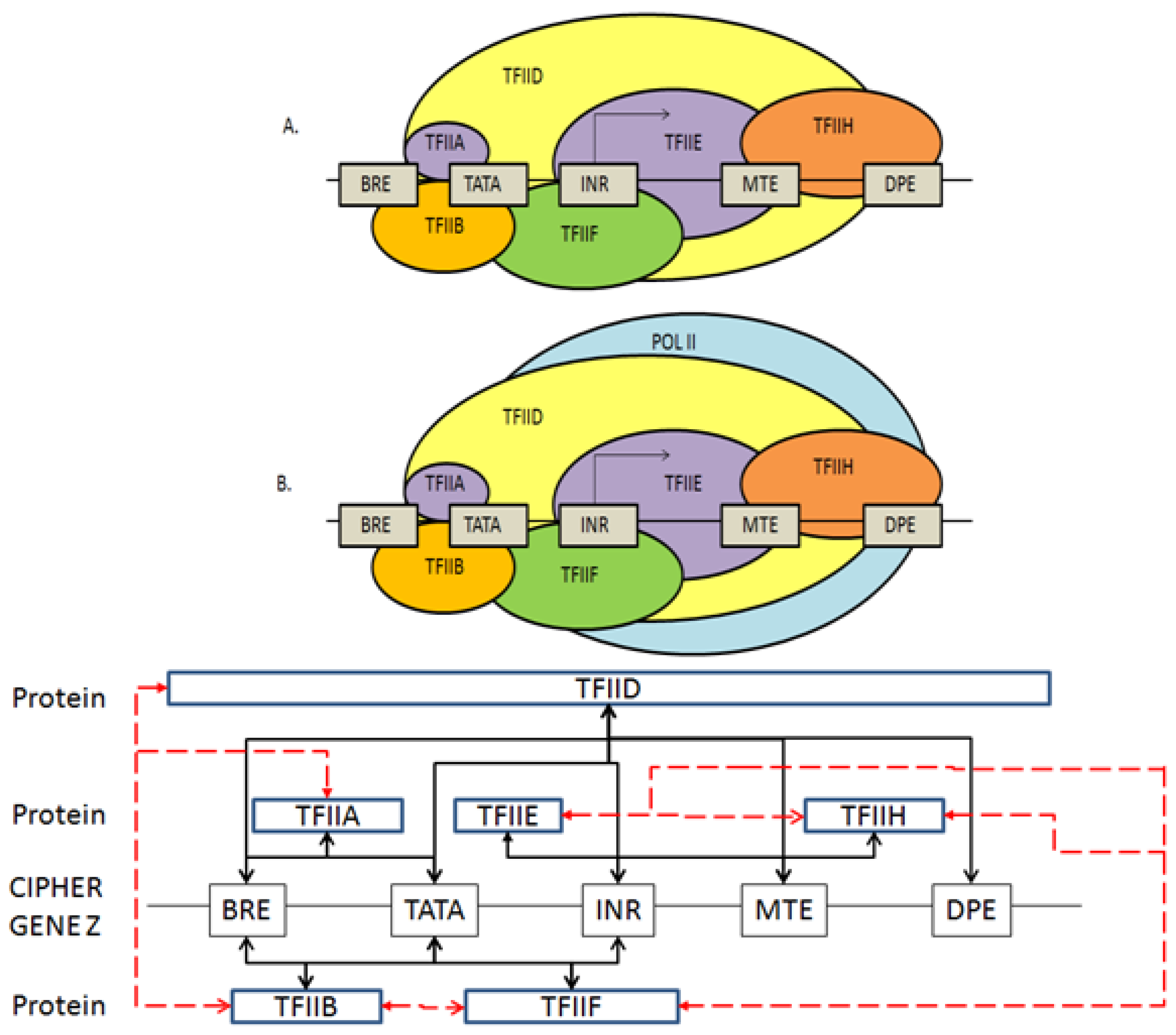 Cryptography 01 00021 g002