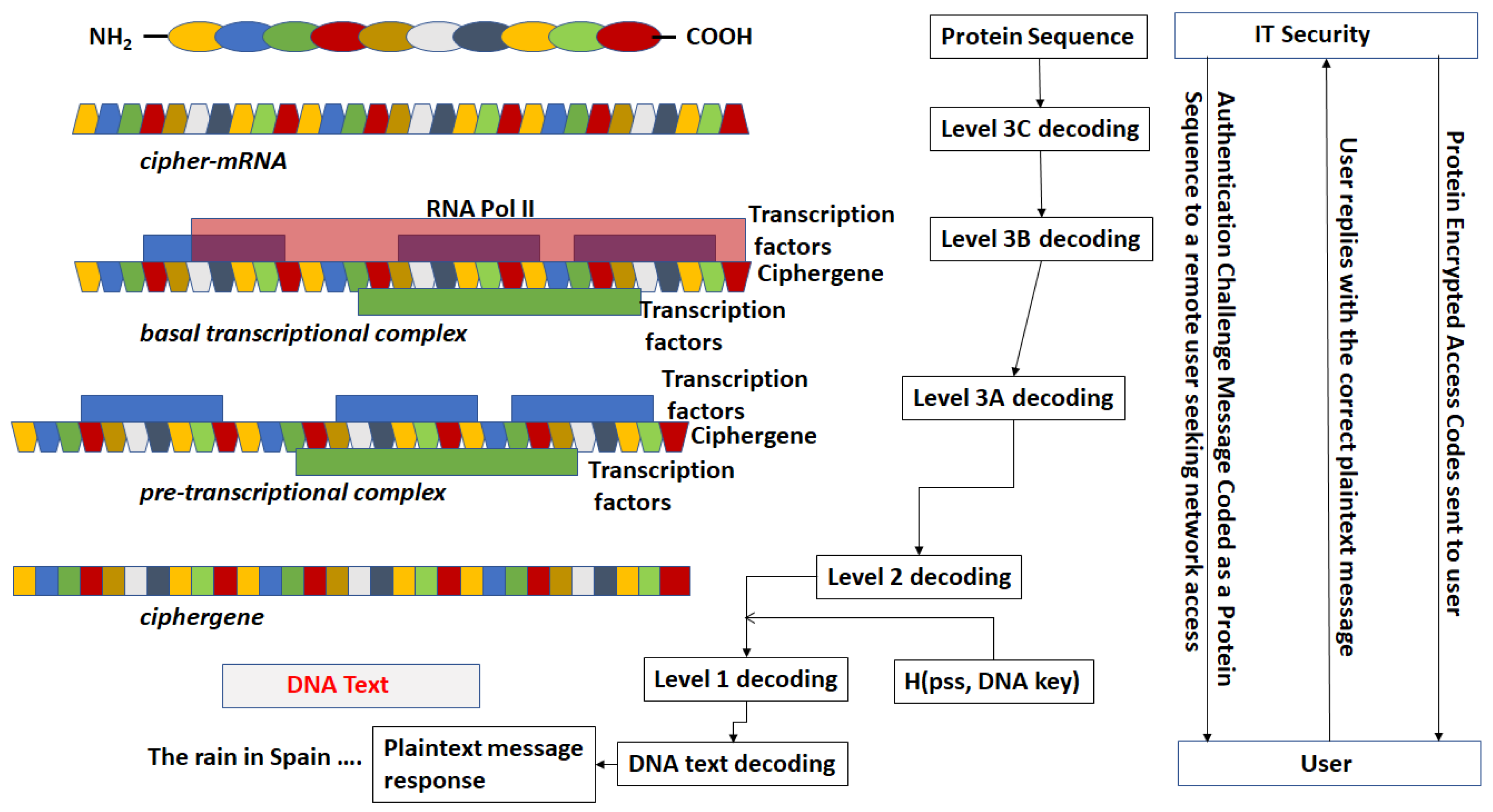 Cryptography 01 00021 g007
