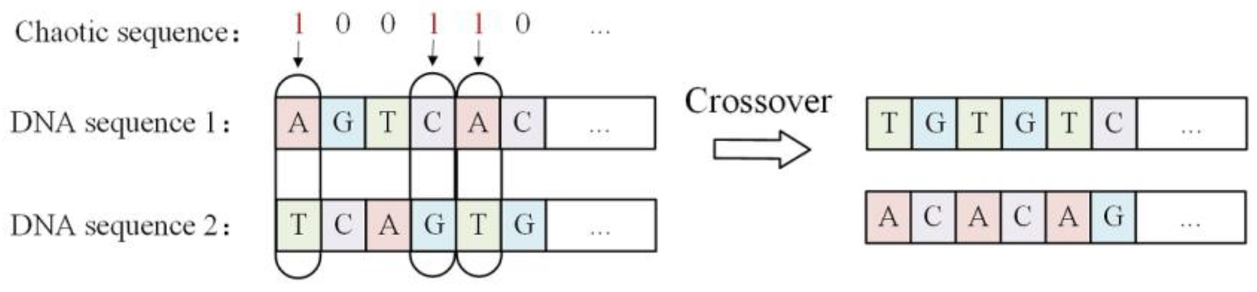 Cryptography 09 00049 g004 Cryptography 09 00049 g004