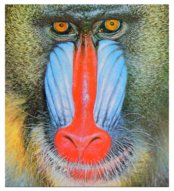 Cryptography 10 00004 i033 Cryptography 10 00004 i033