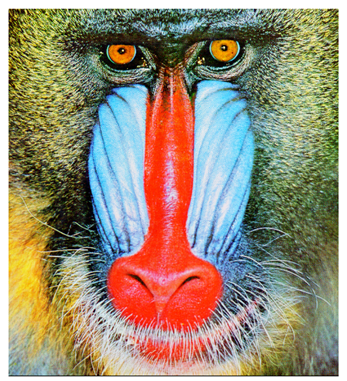 Cryptography 10 00004 i034 Cryptography 10 00004 i034