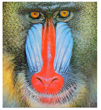 Cryptography 10 00004 i045 Cryptography 10 00004 i045