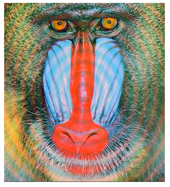 Cryptography 10 00004 i046 Cryptography 10 00004 i046