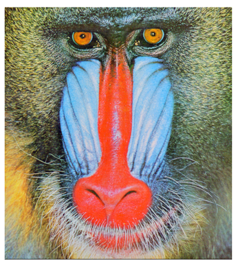 Cryptography 10 00004 i049 Cryptography 10 00004 i049