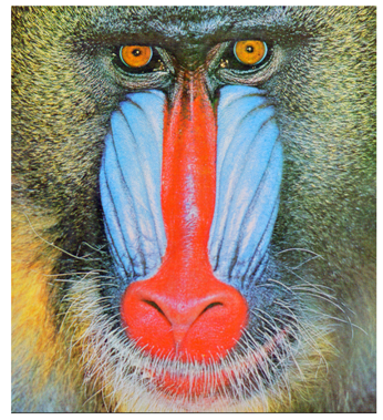 Cryptography 10 00004 i053 Cryptography 10 00004 i053