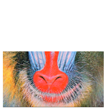 Cryptography 10 00004 i054 Cryptography 10 00004 i054