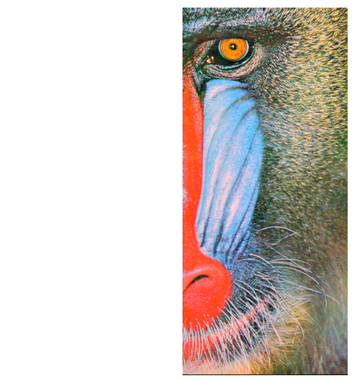 Cryptography 10 00004 i058 Cryptography 10 00004 i058