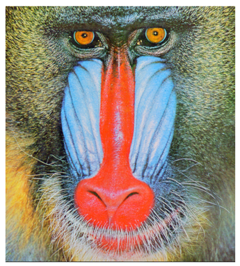 Cryptography 10 00004 i061 Cryptography 10 00004 i061