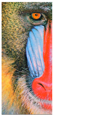 Cryptography 10 00004 i062 Cryptography 10 00004 i062