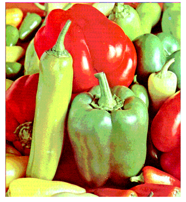 Cryptography 10 00004 i066 Cryptography 10 00004 i066