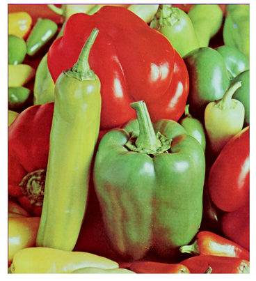 Cryptography 10 00004 i081 Cryptography 10 00004 i081