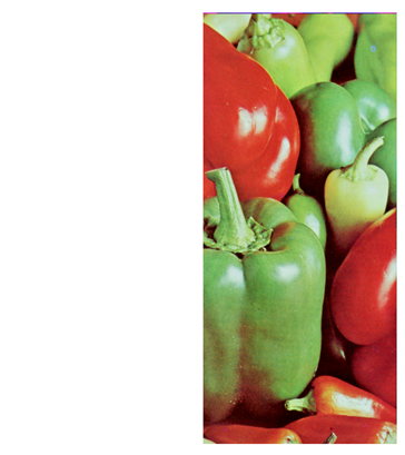 Cryptography 10 00004 i090 Cryptography 10 00004 i090