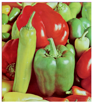 Cryptography 10 00004 i093 Cryptography 10 00004 i093