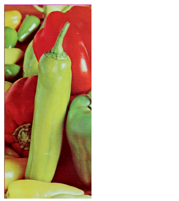 Cryptography 10 00004 i094 Cryptography 10 00004 i094