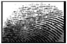 Cryptography 10 00016 i001 Cryptography 10 00016 i001