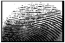 Cryptography 10 00016 i002 Cryptography 10 00016 i002