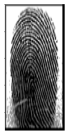 Cryptography 10 00016 i005 Cryptography 10 00016 i005