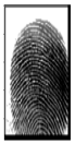 Cryptography 10 00016 i006 Cryptography 10 00016 i006