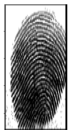 Cryptography 10 00016 i008 Cryptography 10 00016 i008