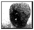 Cryptography 10 00016 i010 Cryptography 10 00016 i010