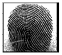 Cryptography 10 00016 i011 Cryptography 10 00016 i011