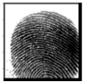 Cryptography 10 00016 i012 Cryptography 10 00016 i012
