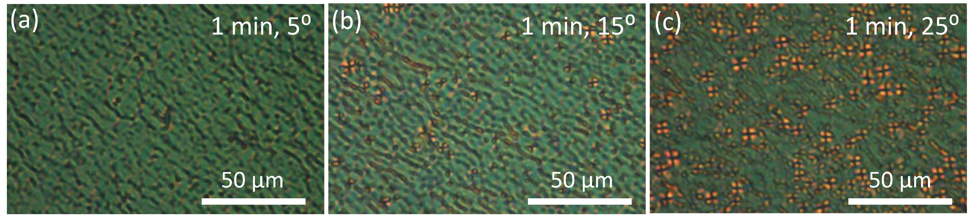 Crystals 03 00234 g006