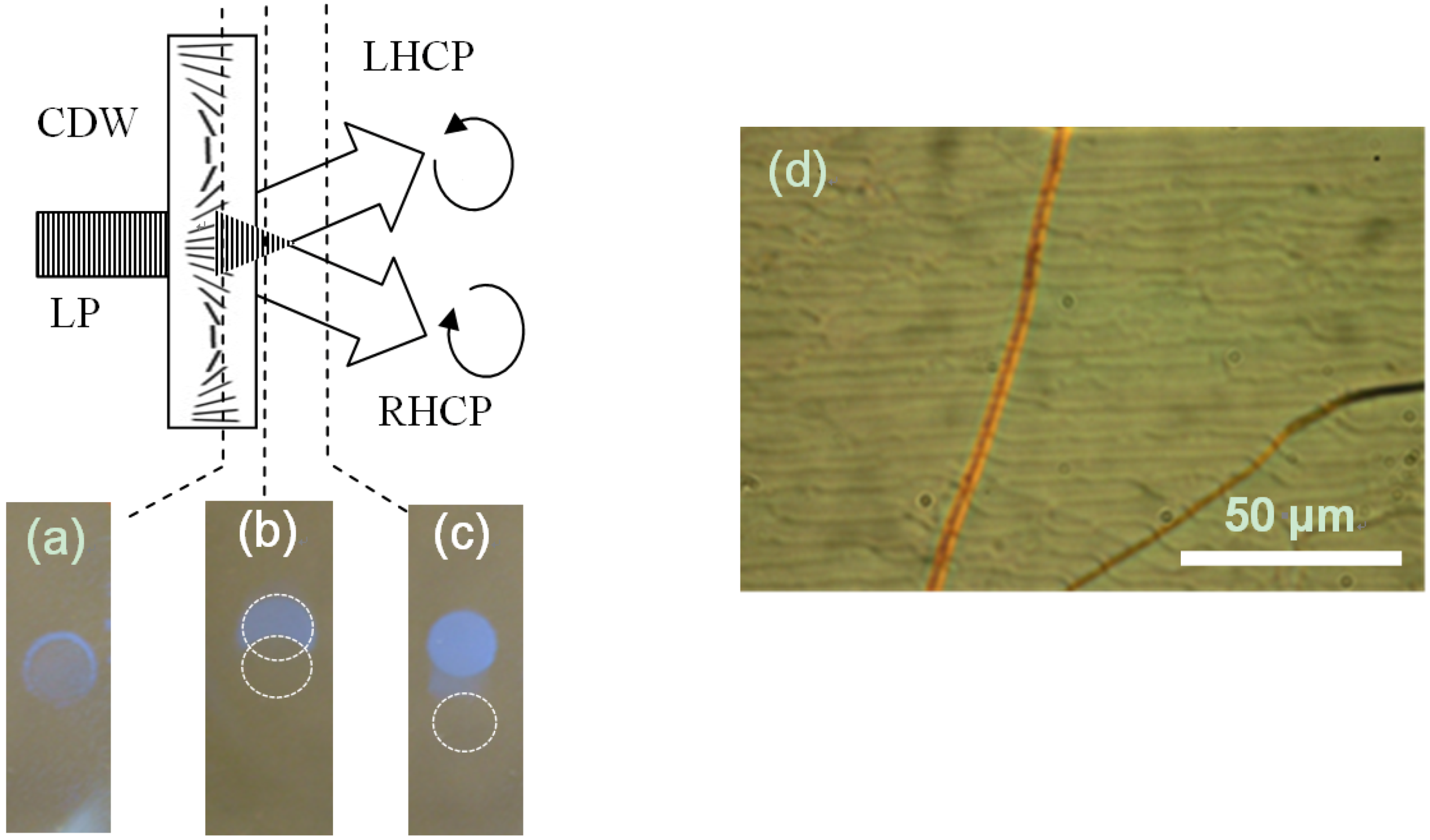 Crystals 03 00234 g007